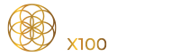 NETWORK NET WORTH x100